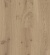 living Expression Long Plank Dub evropský, prkno